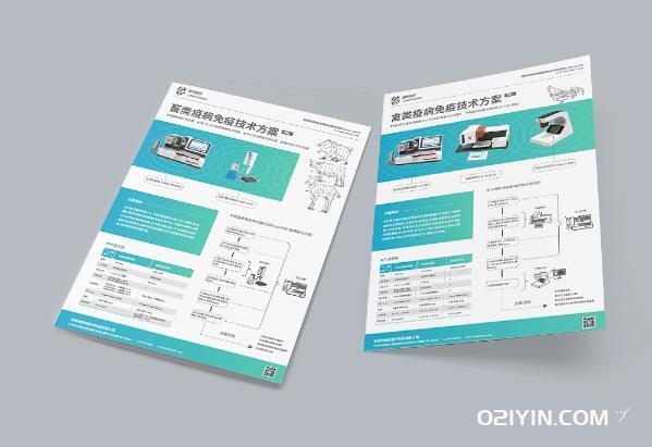 產(chǎn)品彩頁制作  第2張